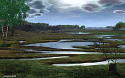 Flood