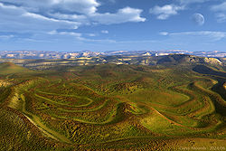 Curvy Mounds