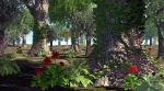 Evening in the Park