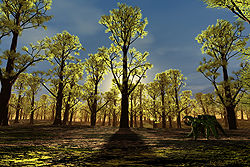 Forestal
