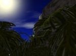 Jungle Mountain