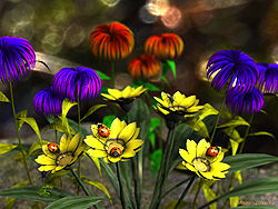 Ladybugs