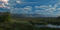 Meadow