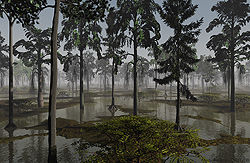 Misty Swamp