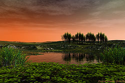 Pond in Mound