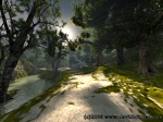 Ravine