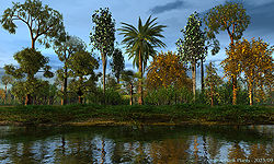Riverbank Plants