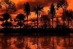 Shore in Twilight