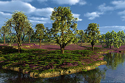 Trees at Pond