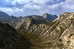 Veins in Valley