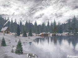 Winter Dreams