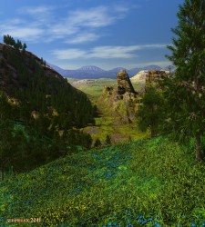 The Alpine meadow