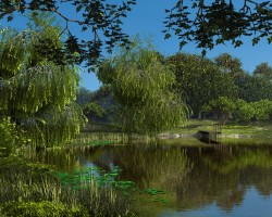 Old pond