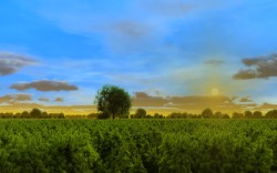 The Steppe Vastness