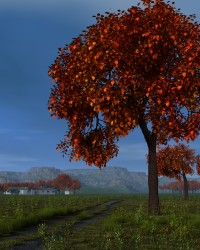 Steppe road