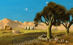 The desert landscape