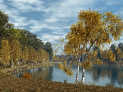 Autumn Etude