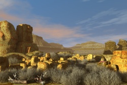 In the mexican desert
