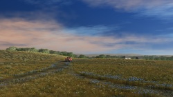 Road in the steppe