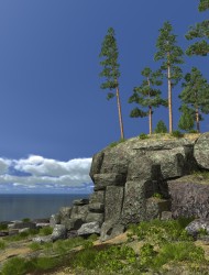 And on stones trees grow ...