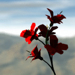 Spring is  in the air..