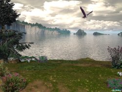 Where Eagles Fly