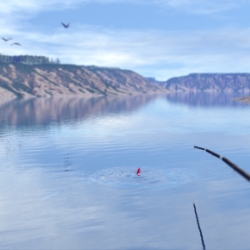 Fishing at Dawn