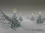 Seasons Greetings