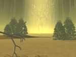Sacred Clearing