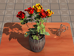 Roses in Pot