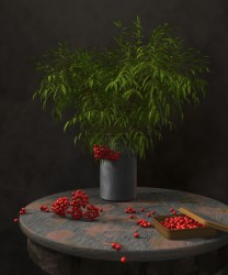 Autumn Still Life