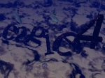 eagle4 under water