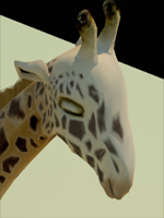 Giraffey