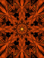 Flower Of Healing 2