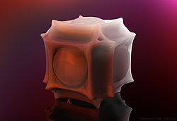 Sphere in Cube