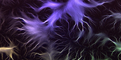 Synapse.
