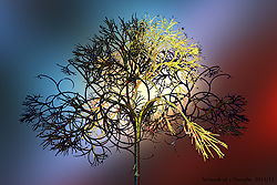 Network of a Thought