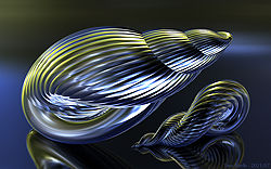 Two Shells