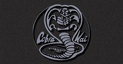 Cobra Kaí