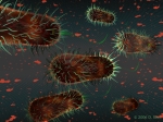 E-coli