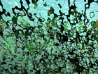 Moveable 12