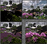 Rhododendron Render Examples