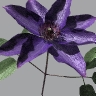 3dcafe CLEMATIS example