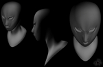 Head Modeling Exercise